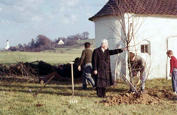 H. Herr Pfarrer A. Meister beim Pflanzen einer Linde an der Edenbergener Kapelle